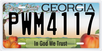 GA license plate PWM4117