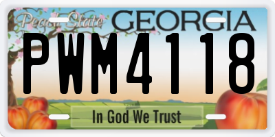 GA license plate PWM4118