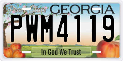 GA license plate PWM4119