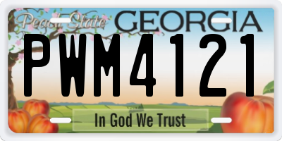 GA license plate PWM4121