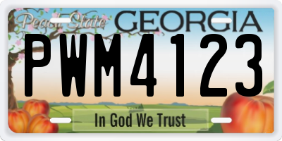 GA license plate PWM4123