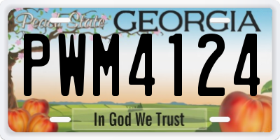 GA license plate PWM4124