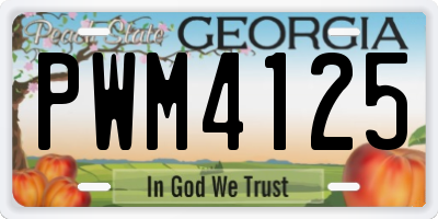 GA license plate PWM4125