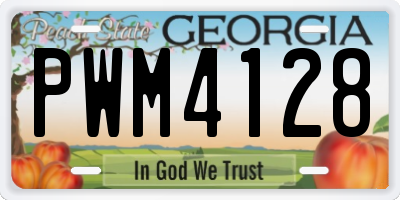GA license plate PWM4128