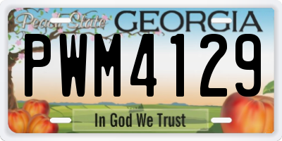 GA license plate PWM4129