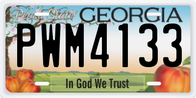 GA license plate PWM4133