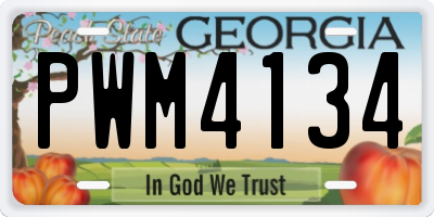 GA license plate PWM4134