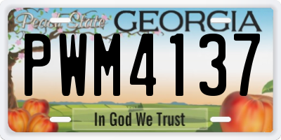 GA license plate PWM4137