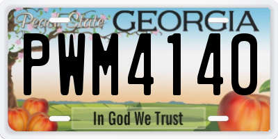 GA license plate PWM4140