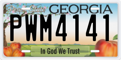 GA license plate PWM4141