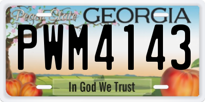 GA license plate PWM4143