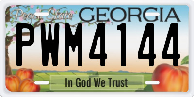 GA license plate PWM4144