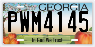 GA license plate PWM4145