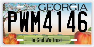 GA license plate PWM4146