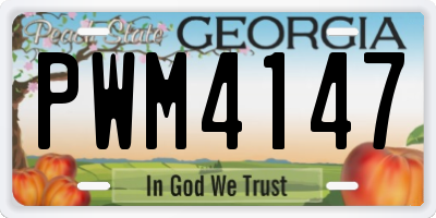 GA license plate PWM4147