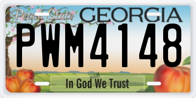 GA license plate PWM4148
