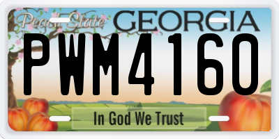 GA license plate PWM4160