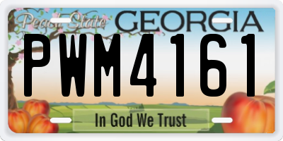 GA license plate PWM4161