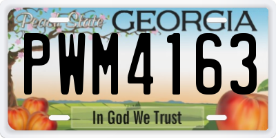 GA license plate PWM4163