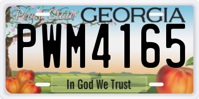GA license plate PWM4165