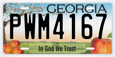 GA license plate PWM4167