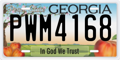 GA license plate PWM4168