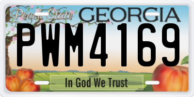 GA license plate PWM4169