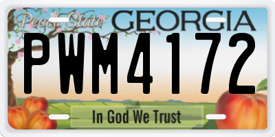 GA license plate PWM4172