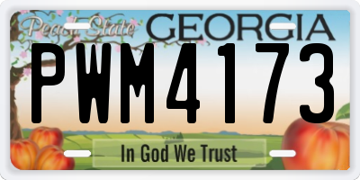 GA license plate PWM4173