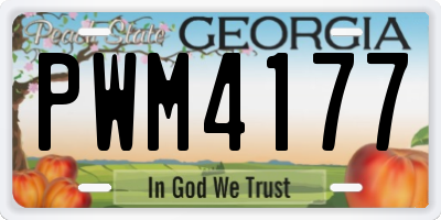 GA license plate PWM4177