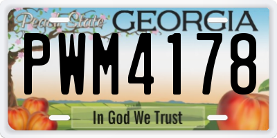 GA license plate PWM4178