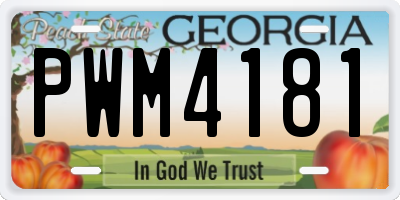 GA license plate PWM4181