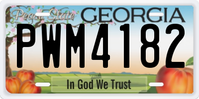 GA license plate PWM4182