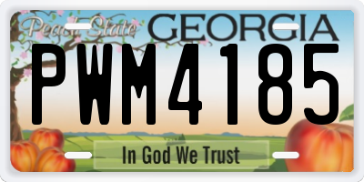 GA license plate PWM4185