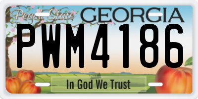 GA license plate PWM4186