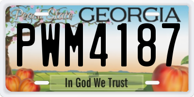 GA license plate PWM4187