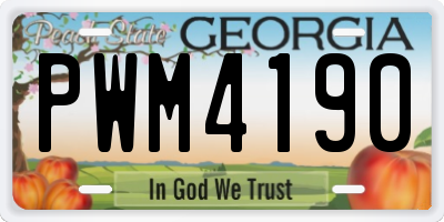 GA license plate PWM4190