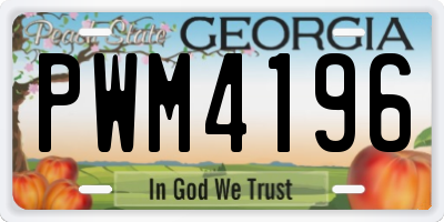 GA license plate PWM4196