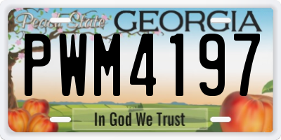 GA license plate PWM4197