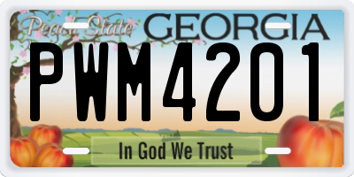 GA license plate PWM4201