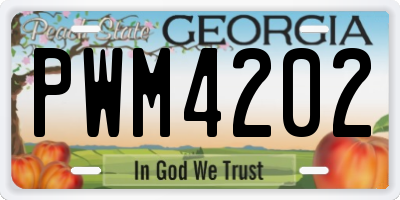 GA license plate PWM4202