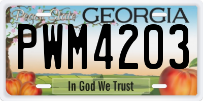 GA license plate PWM4203