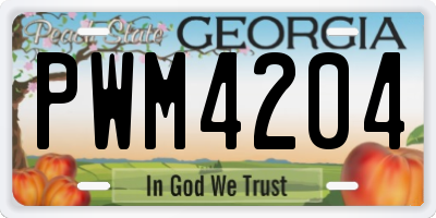 GA license plate PWM4204