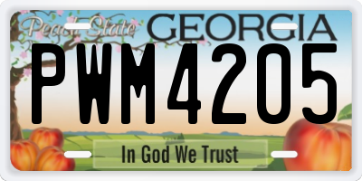 GA license plate PWM4205