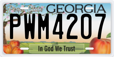 GA license plate PWM4207