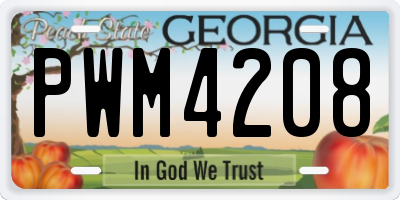 GA license plate PWM4208