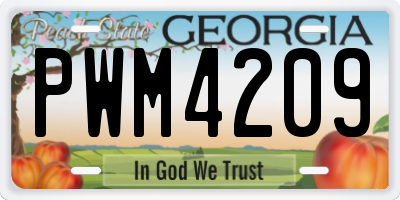 GA license plate PWM4209
