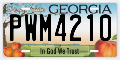 GA license plate PWM4210