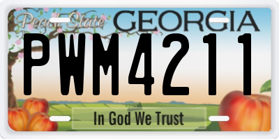 GA license plate PWM4211