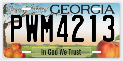 GA license plate PWM4213